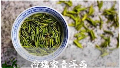 柠檬家普洱茶/2023042956671