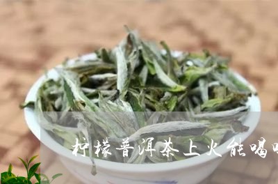 柠檬普洱茶上火能喝吗/2023092869381