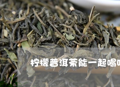 柠檬普洱茶能一起喝吗/2023061549375