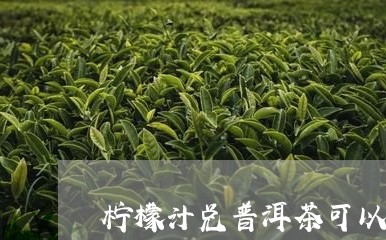 柠檬汁兑普洱茶可以喝吗/2023103116260