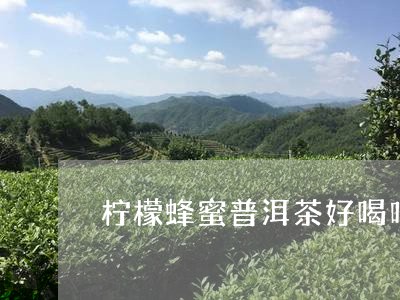 柠檬蜂蜜普洱茶好喝吗/2023120705939