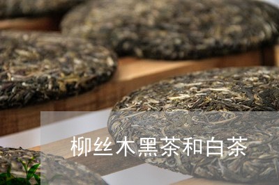 柳丝木黑茶和白茶/2023062292926