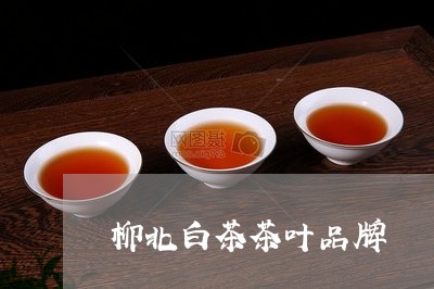 柳北白茶茶叶品牌/2023062230605