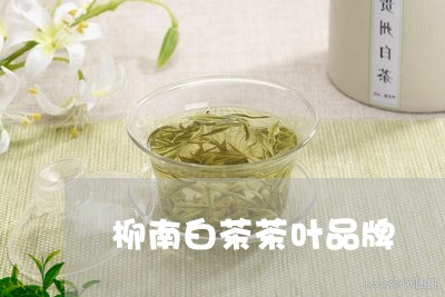 柳南白茶茶叶品牌/2023062269381