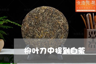 柳叶刀中提到白茶/2023062255947