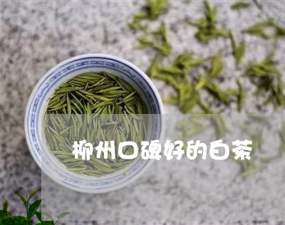 柳州口碑好的白茶/2023062263726