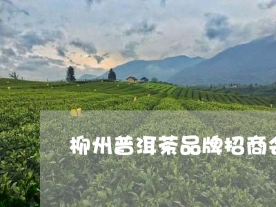 柳州普洱茶品牌招商会/2023092511726