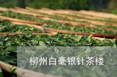 柳州白毫银针茶楼/2023062269483