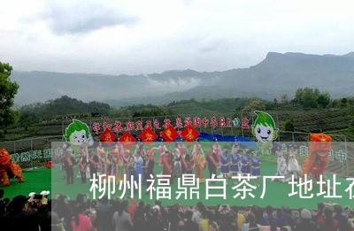 柳州福鼎白茶厂地址在哪里/2023062794815