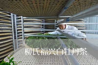 柳氏福兴白牡丹茶/2023062273937