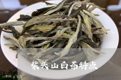 柴头山白茶特点/2023060106969