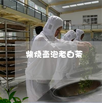 柴烧壶泡老白茶/2023060104058