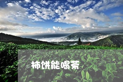 柿饼能喝茶/2023090261372