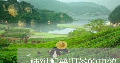 柿饼配普洱茶的功效/2023071066067