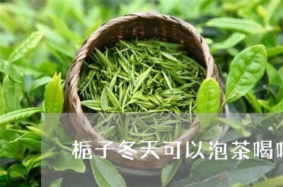 栀子冬天可以泡茶喝吗/2023060889270