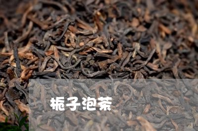 栀子泡茶/2023090170603