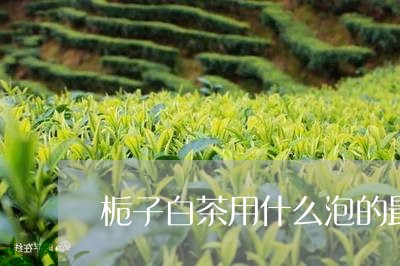 栀子白茶用什么泡的最好/2023102657682