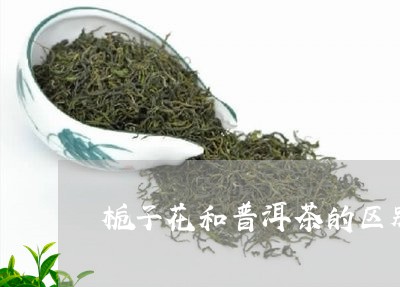 栀子花和普洱茶的区别/2023092748570