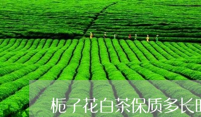 栀子花白茶保质多长时间/2023102629382