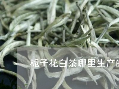 栀子花白茶哪里生产的/2023100244837