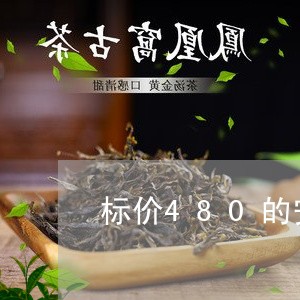 标价480的安吉白茶/2023092752793