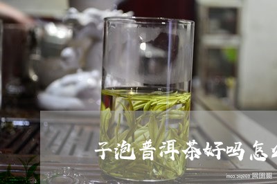 栒子泡普洱茶好吗怎么泡/2023110124148