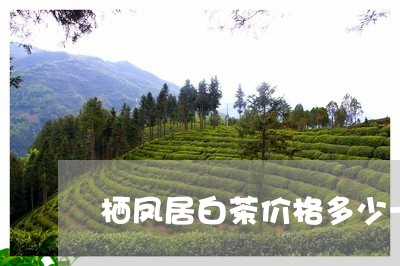 栖凤居白茶价格多少一斤/2023111760734