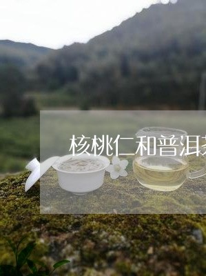 核桃仁和普洱茶的区别/2023092907369