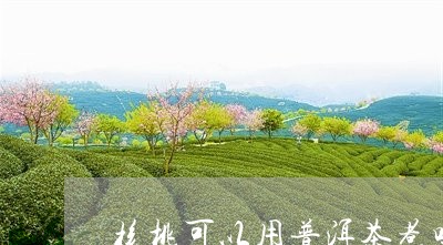 核桃可以用普洱茶煮吗/2023061663734