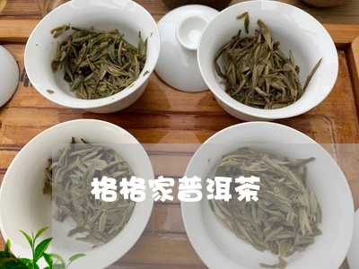 格格家普洱茶/2023091376258