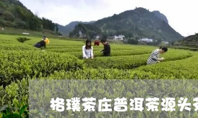 格璞茶庄普洱茶源头茶厂/2023122058493