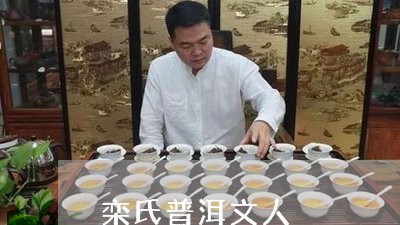 栾氏普洱文人/2023090731584