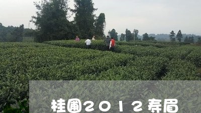 桂圃2012寿眉/2023090837161