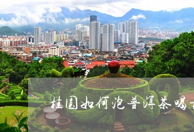 桂圆如何泡普洱茶喝最好/2023103162817