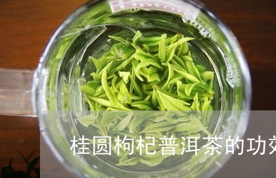 桂圆枸杞普洱茶的功效/2023080214946