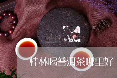 桂林喝普洱茶哪里好/2023120593048