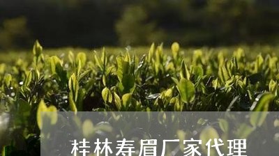 桂林寿眉厂家代理/2023062220826