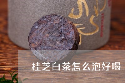 桂芝白茶怎么泡好喝/2023063026162