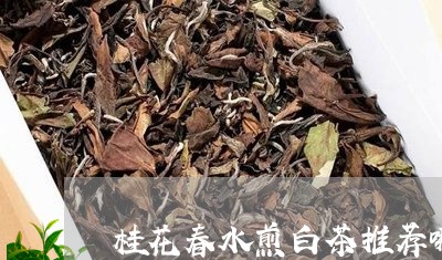 桂花春水煎白茶推荐哪款/2023102651695