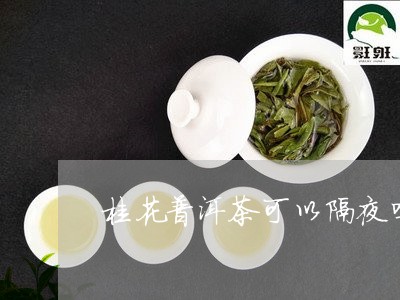 桂花普洱茶可以隔夜吗/2023062705039