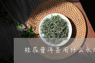 桂花普洱茶用什么水泡/2023101730571