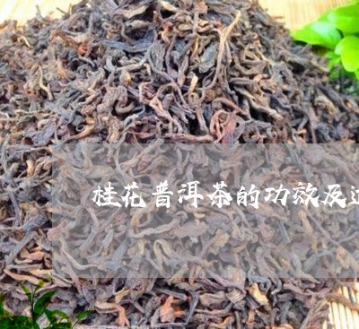 桂花普洱茶的功效及适宜人群/2023052703858