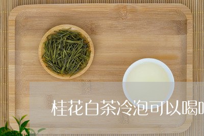 桂花白茶冷泡可以喝吗/2023100246159