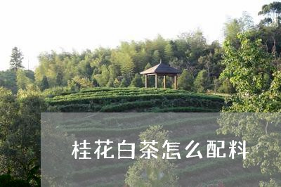 桂花白茶怎么配料/2023062204169