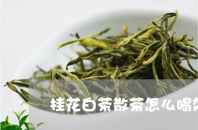 桂花白茶散茶怎么喝效果好/2023111517148