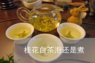 桂花白茶泡还是煮/2023062174058