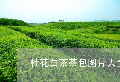 桂花白茶茶包图片大全/2023100258350