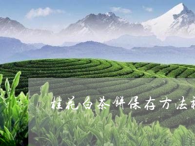 桂花白茶饼保存方法视频/2023111711704