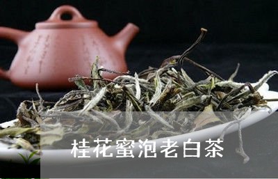 桂花蜜泡老白茶/2023060139393