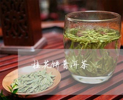 桂花饼普洱茶/2023042979697